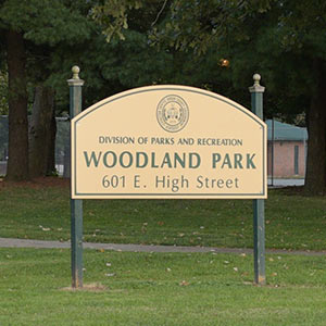 The Woodland Triangle
