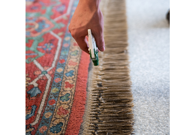 Pro To Know | Joey’s Carpet Care