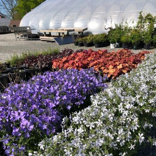 Yew Dell Botanical Garden Announces New Nursery & Greenhouse
