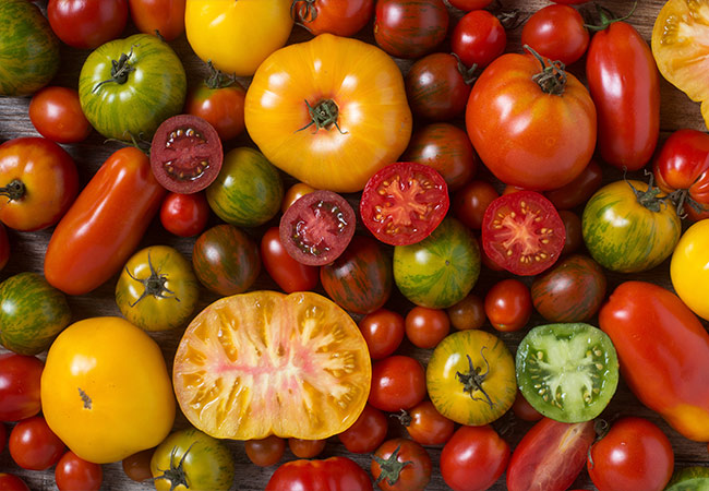 In Season: Tomatoes