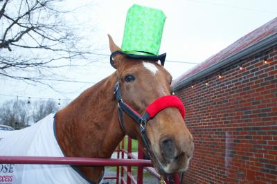 Hank The Horse Celebrates St. Patrick's Day at Golden's Pub & Deli